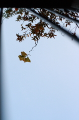 空に向かって