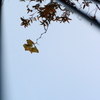空に向かって