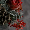 a flower 4