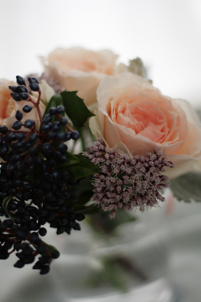 a flower 2