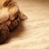 LOVE?