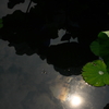 太陽と影