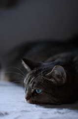 ennui