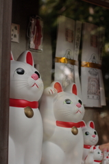 かわいい福の使者
