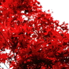 紅色