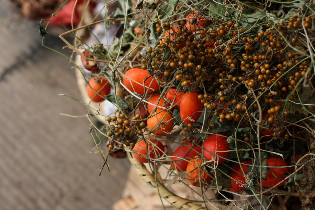 autumn color