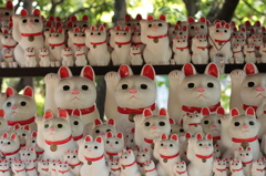 招き猫