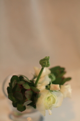 a flower 5
