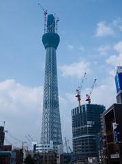 記念に撮っちゃったスカイツリー