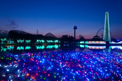 東武動物公園のイルミ2010