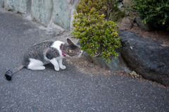 ちーちゃん