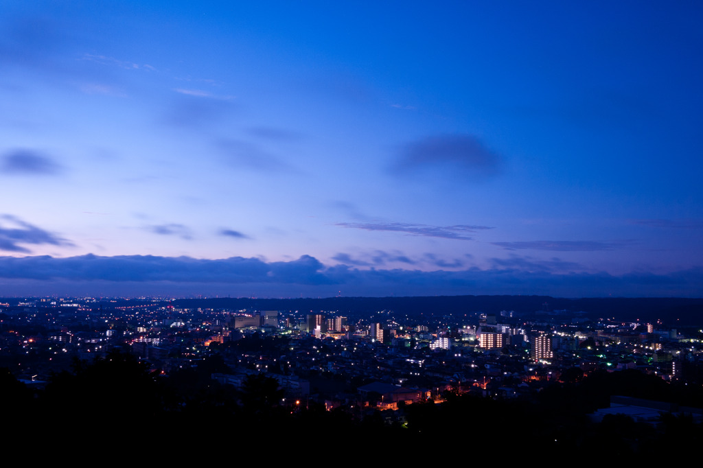 天覧山からの朝景