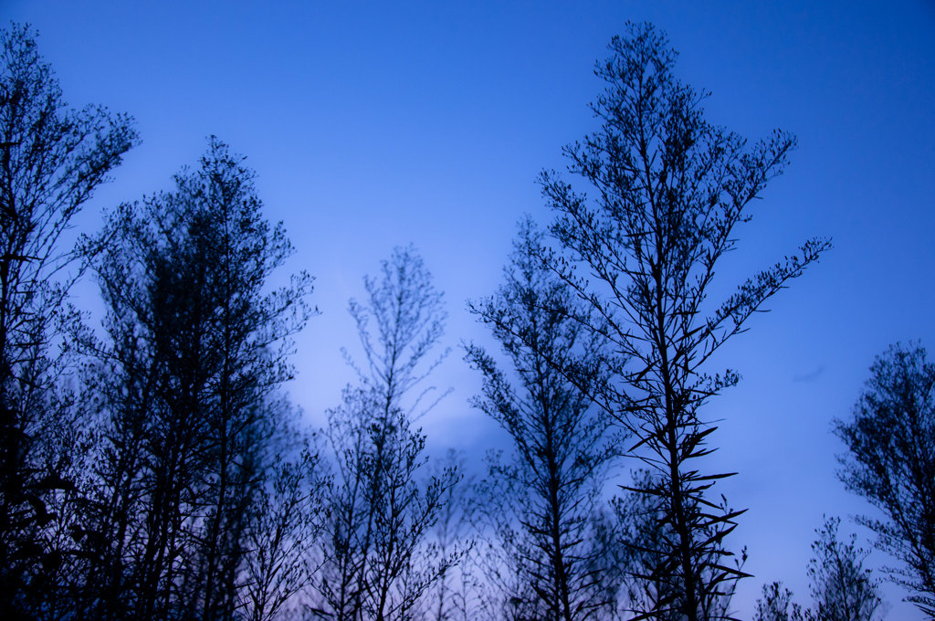 夕刻