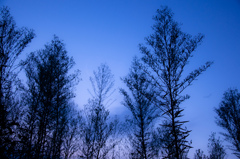 夕刻