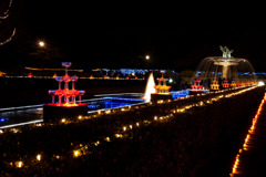 昭和記念公園イルミ