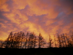 夕焼け空