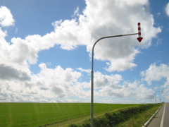 北海道の夏