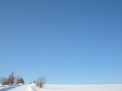 透明な空