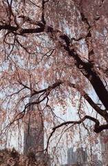 Scan20023