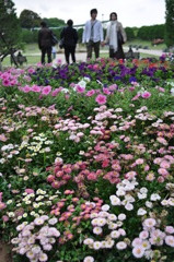 港の見える丘公園