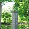 右と左