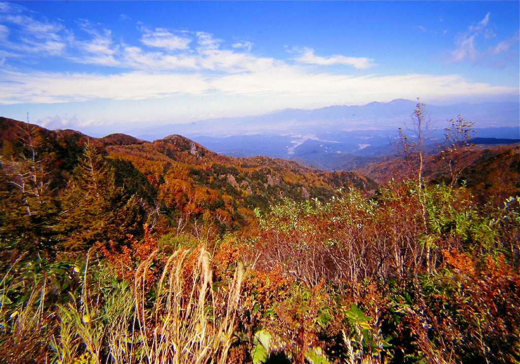 青・赤・黄・緑