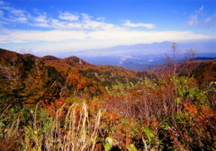 青・赤・黄・緑