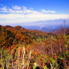 青・赤・黄・緑