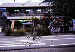 土産物屋