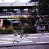 土産物屋