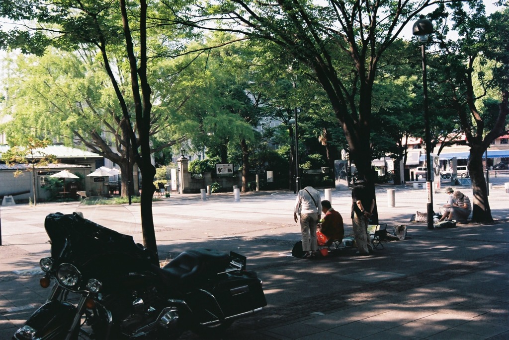 スケッチ中
