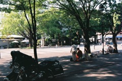 スケッチ中
