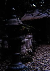 先祖の遺産