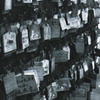 みんなの願い