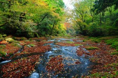 菊池渓谷1