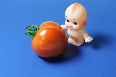 トマト転がし