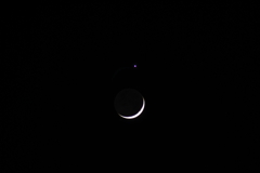 月と金星の接近