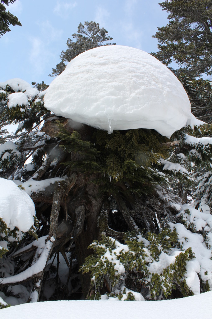 雪の帽子