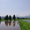 春の鳥海山