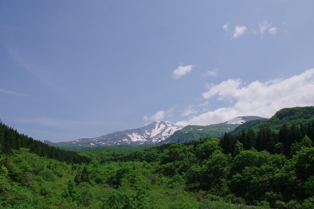 新緑の鳥海山