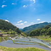 棚田
