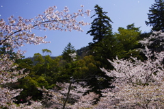 風に吹かれて