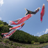 清流線とこいのぼり
