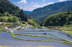 鏡面棚田