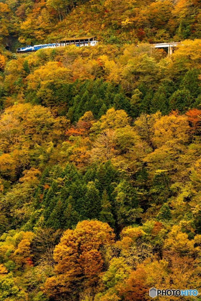 向こうからはどんな絶景なんだろうか