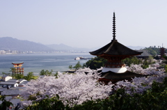 島を染める