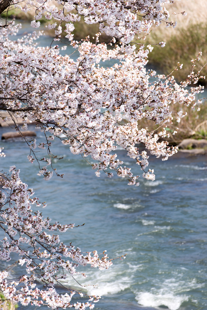 いつか流るる時