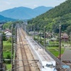 今日もかける