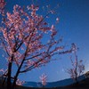 河津に降る