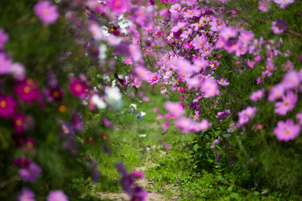 The tunnel of cosmos 